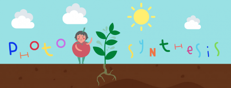 PHOTOSYNTHESIS 1
