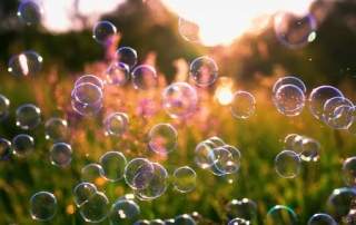 soap bubbles flying over blooming green grass and